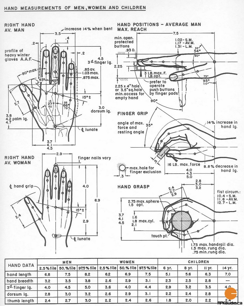 Hand Dimensions